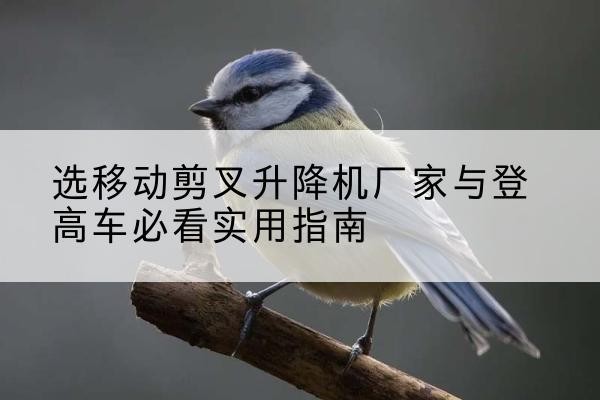 吉隆电动升降机厂家-选移动剪叉升降机厂家与登高车必看实用指南