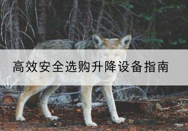 吉隆升降货梯厂家推荐-*安全选购升降设备指南